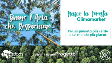 Progetto Treedom: pianta un albero nella foresta Climamarket - Climamarket