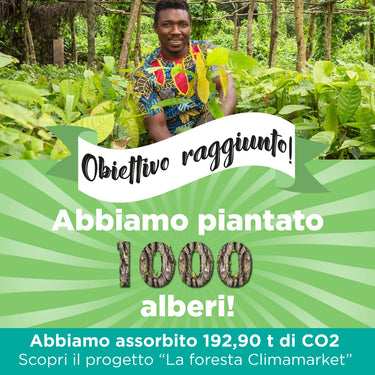 Climamarket - Obiettivo raggiunto: 1000 alberi entro il 2024 con Treedom
